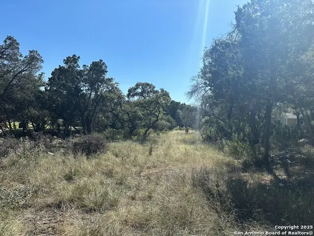 132 Lexington, Canyon Lake, TX 78133 - #1