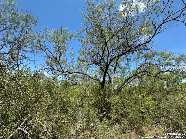 531 Baltzell, San Antonio, TX 78221 - Image #1