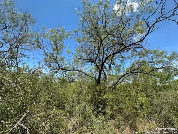 531 Baltzell, San Antonio, TX 78221