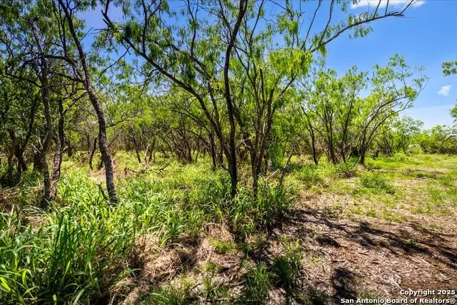 000 Cr 175, Sandia, TX 78383 - #3