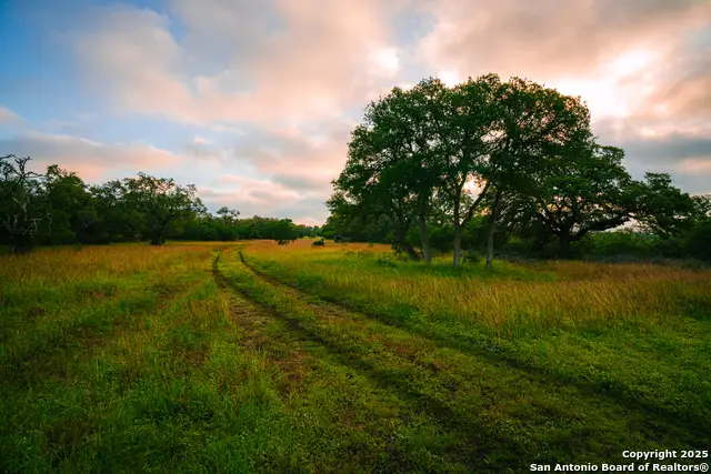 000 Rolling Hill, Spring Branch, TX 78070 - Image #1