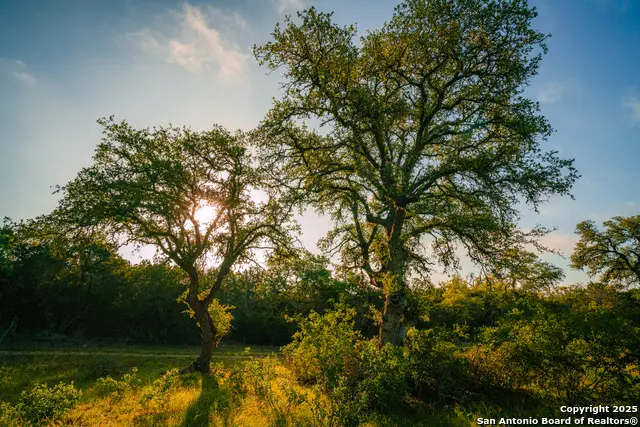 000 Rolling Hill, Spring Branch, TX 78070 - Image #2