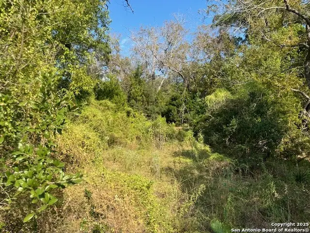 19623 Terra Mont, San Antonio, TX 78255 - Image #2