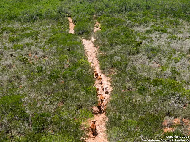 4700 Fm -3196, San Diego, TX 78384 - Image #1