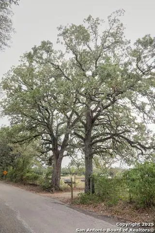 81 Sandy Creek Rd, Dale, TX 78616 - Image #3