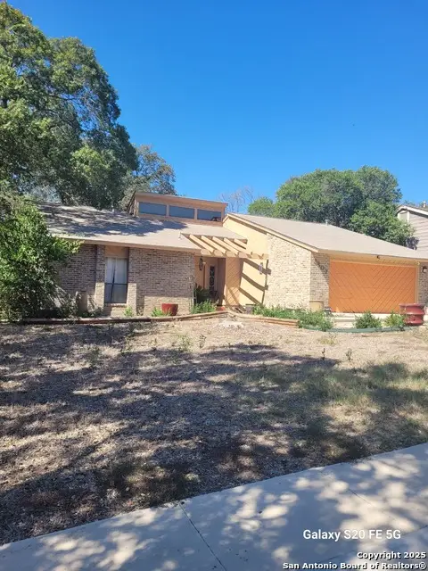 3507 Green Spring, San Antonio, TX 78247 - Image #3