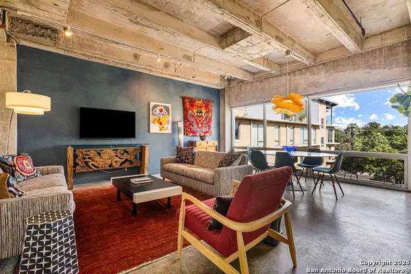 1115 S Alamo #2408, San Antonio, TX 78210