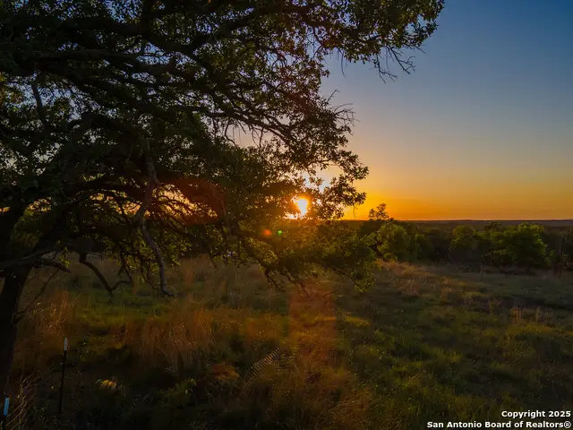 LOT 31 Shady Hollow, Blanco, TX 78606 - #3