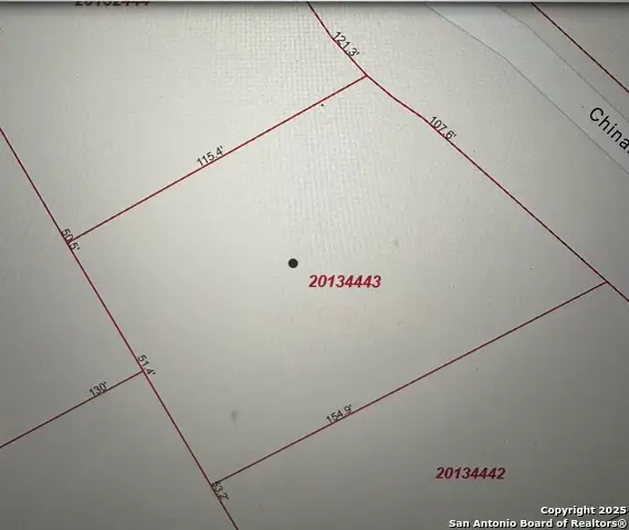 124 Chinaberry, La Vernia, TX 78121 - Image #1