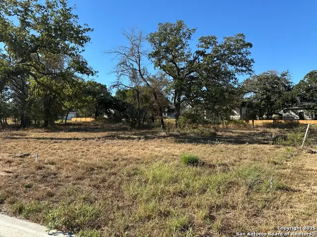 124 Chinaberry, La Vernia, TX 78121 - Image #3