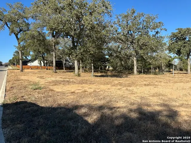 132 Chinaberry Hill, La Vernia, TX 78121 - Image #3