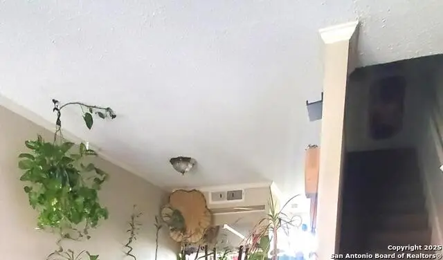 3243 Nacogdoches Rd #910, San Antonio, TX 78217 - Image #1