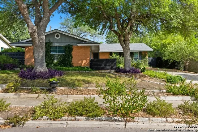 703 Coronet, San Antonio, TX 78216 - Image #2