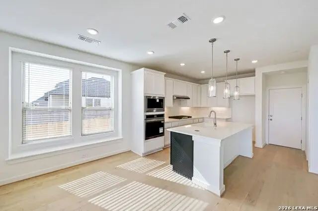 203 Bodensee Place, New Braunfels, TX 78130 - #3