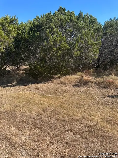 349 Valley Star, Canyon Lake, TX 78133 - #2