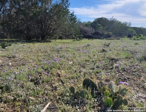 00 Newby Hills Ranch, Rocksprings, TX 78880 - Image #1