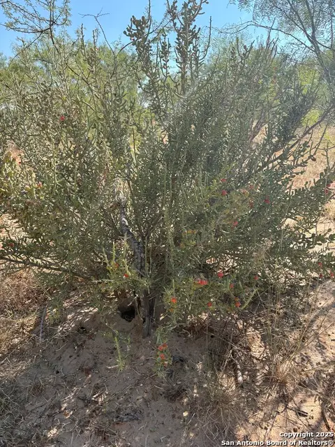 TBD County Road 741, Yancey, TX 78886 - Image #3