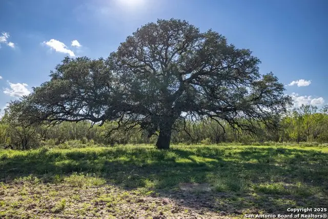 444 County Road 748, Yancey, TX 78886 - Image #1