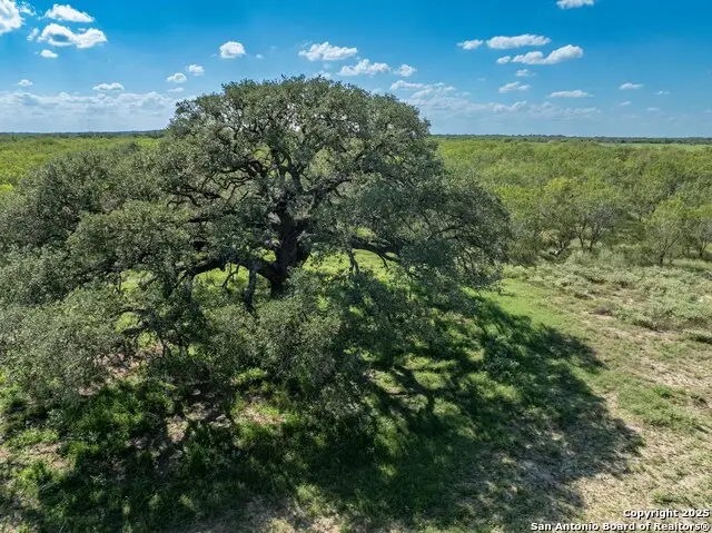 444 County Road 748, Yancey, TX 78886 - Image #3