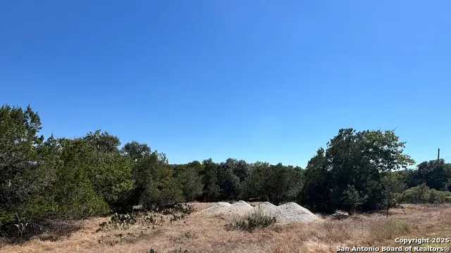 6718 Spring Branch Rd, Spring Branch, TX 78070 - Image #2