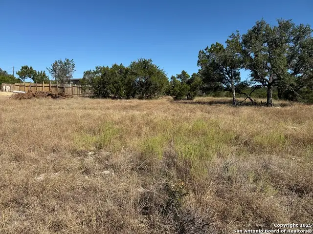 1503 Lake, Spring Branch, TX 78070 - Image #2