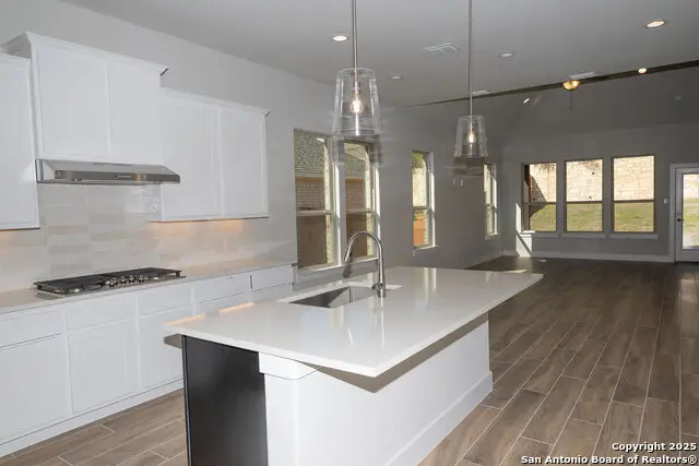 25027 Las Pilas, San Antonio, TX 78261 - Image #3