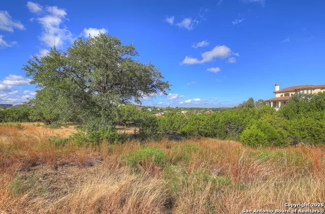 2416 Triple Peak, Canyon Lake, TX 78133 - Image #2