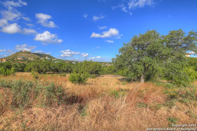 2416 Triple Peak, Canyon Lake, TX 78133 - Image #3