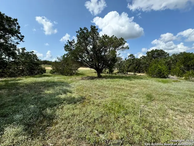 34707 Deeanne Valley Trail, Bulverde, TX 78163 - Image #3