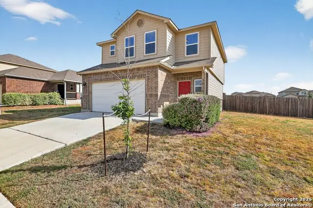 3916 Asher Alley, Saint Hedwig, TX 78152 - Image #2