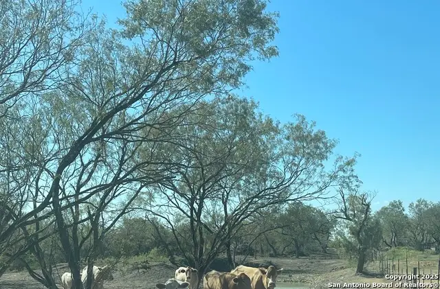 000 Fm 1346, Saint Hedwig, TX 78152 - Image #3