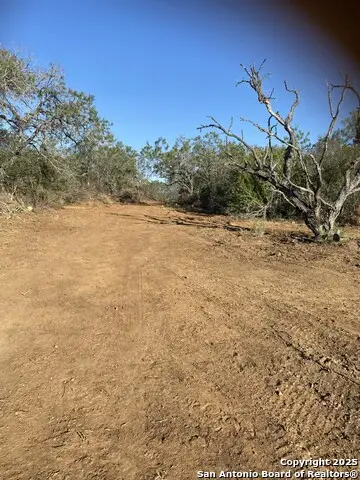 TBD Cr 168, Floresville, TX 78114 - Image #2