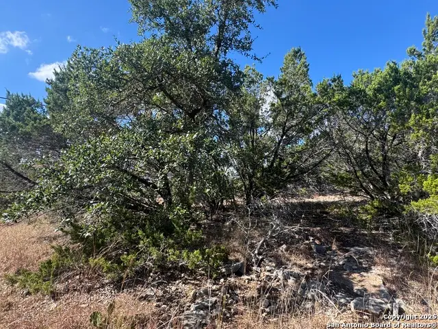 217 Breeze Pt, Fischer, TX 78623 - Image #1