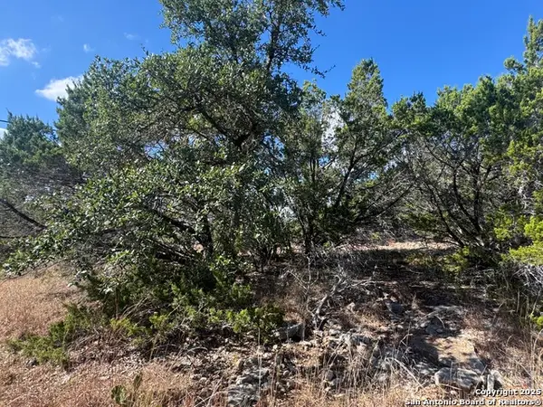 217 Breeze Pt, Fischer, TX 78623