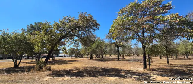 CB 4163A Redfern Drive Lot #113, San Antonio, TX 78264 - Image #2