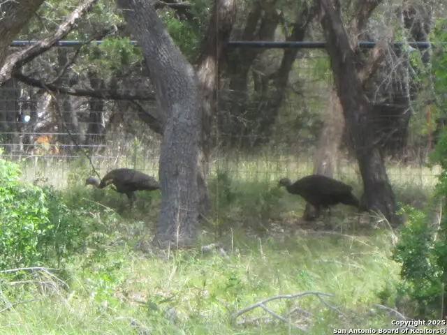 1318 Oakridge Lane, Pipe Creek, TX 78063 - Image #2