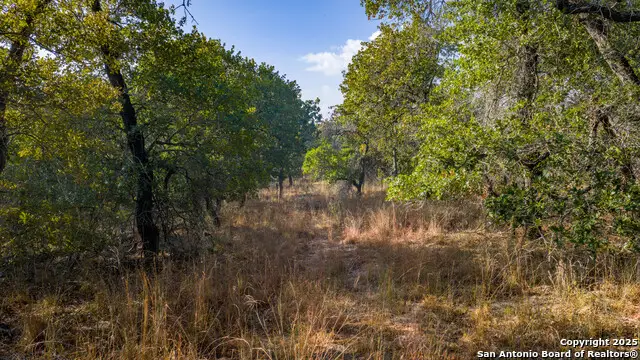 LOT 17 & 18 Sandstone Lane, Seguin, TX 78155 - #2