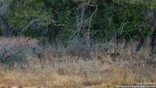 14 Sandstone Lane, Seguin, TX 78155 - #2