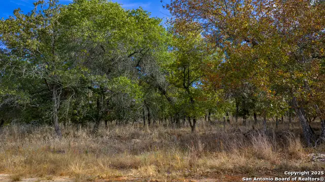 14 Sandstone Lane, Seguin, TX 78155 - #3