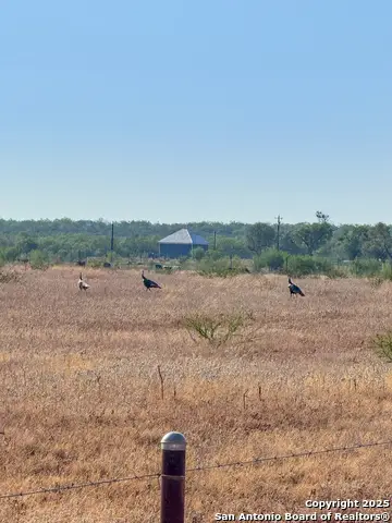 6870 County Road 329 (tract 1-5), Jourdanton, TX 78026 - Image #2