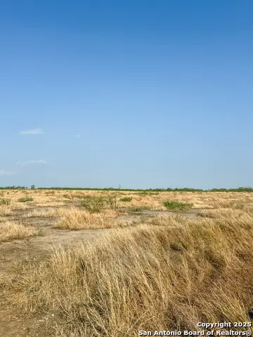 6870 County Road 329 (tract 1-5), Jourdanton, TX 78026 - Image #3