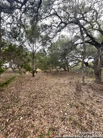 681 Canyon Circle, Canyon Lake, TX 78133 - Image #2