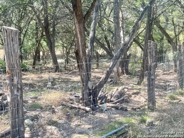 575 Burning Tree, Bandera, TX 78003 - Image #3