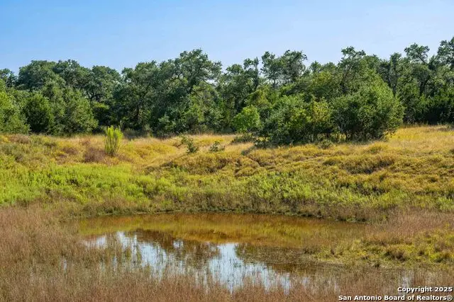 147 Gray Wolf, Blanco, TX 78606 - #3