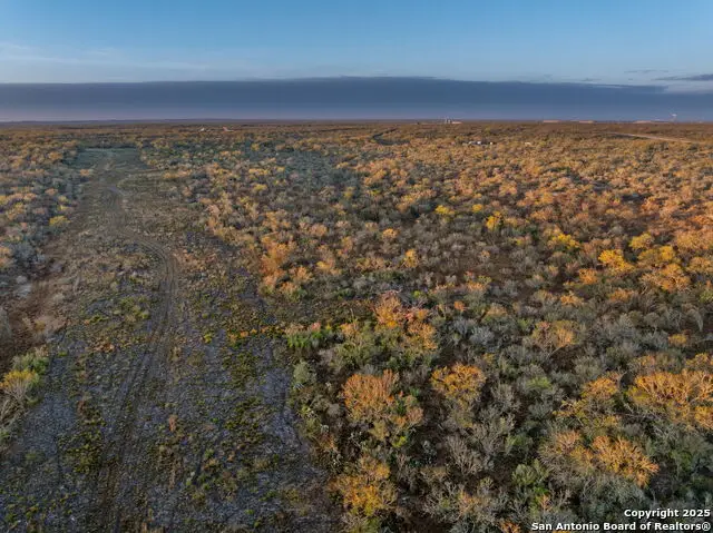 TBD 48AC F.m. 791, Campbellton, TX 78008 - Image #3