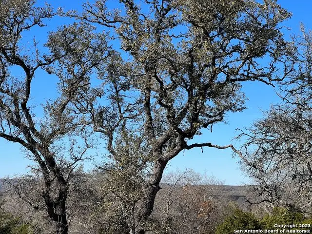 TBD Waring Welfare Rd, Waring, TX 78013 - Image #3