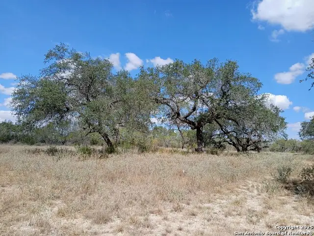 4415 State Highway 173, Bigfoot, TX 78005 - Image #2