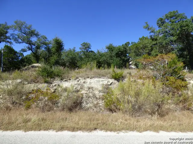 198 Magnolia Meadow, Canyon Lake, TX 78133 - Image #3