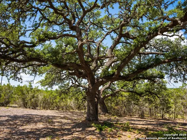 000 Heritage Creek Ranch, Dripping Springs, TX 78620 - #1