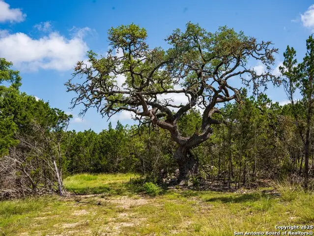 000 Oak Valley Ranch, Dripping Springs, TX 78620 - Image #2